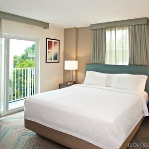 One-Bedroom Queen Suite